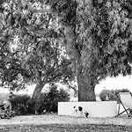Monte Da Lagoa Semesterpark