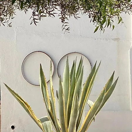 Monte Da Lagoa База отдыха 3*