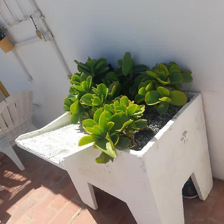 Village de vacances Monte Da Lagoa Altura