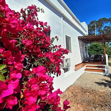 Village de vacances Monte Da Lagoa Altura