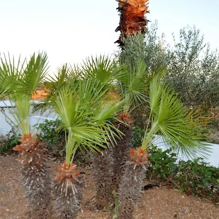 Monte Da Lagoa Village de vacances