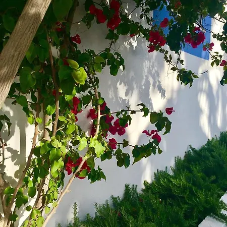 Monte Da Lagoa 3*
