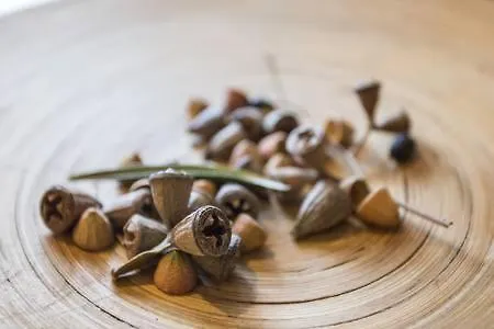 Monte Da Lagoa База отдыха