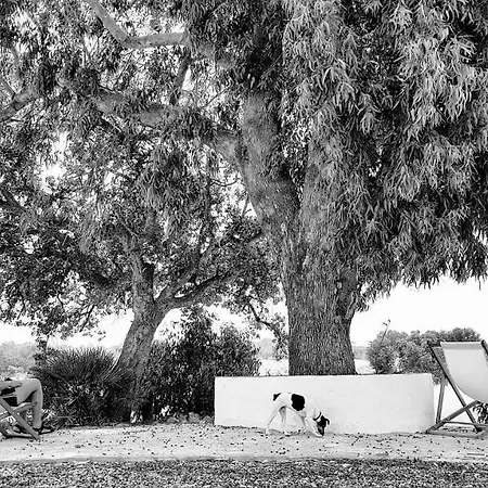 Monte Da Lagoa База отдыха