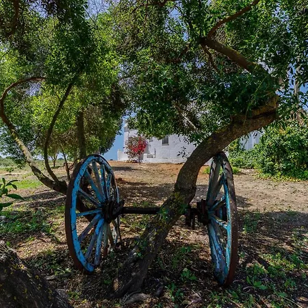 Monte Da Lagoa База отдыха Альтура